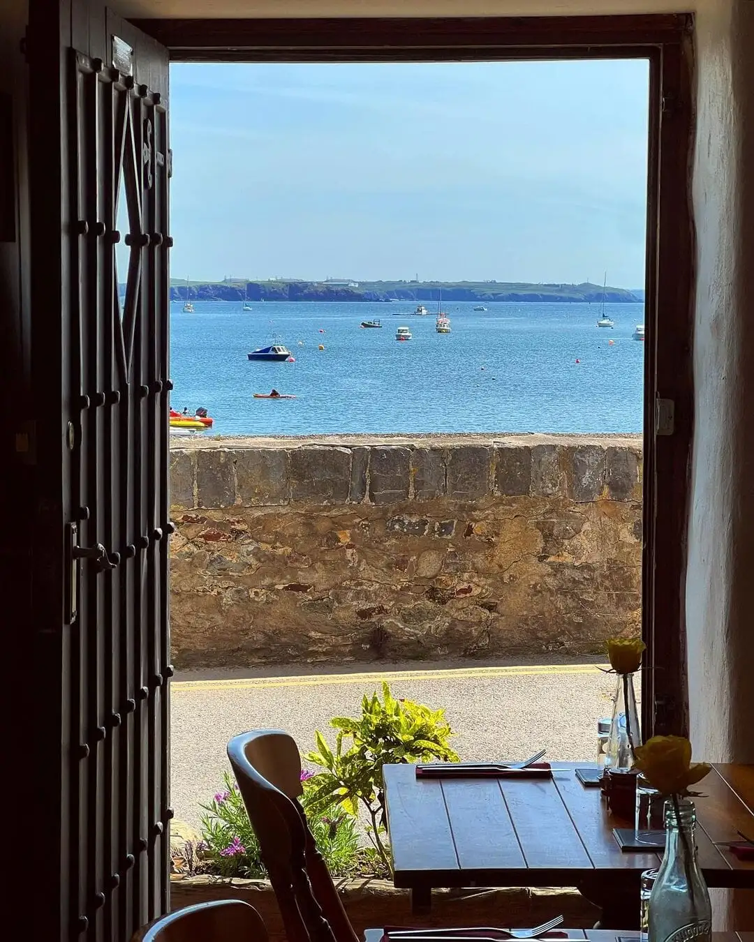 door-view